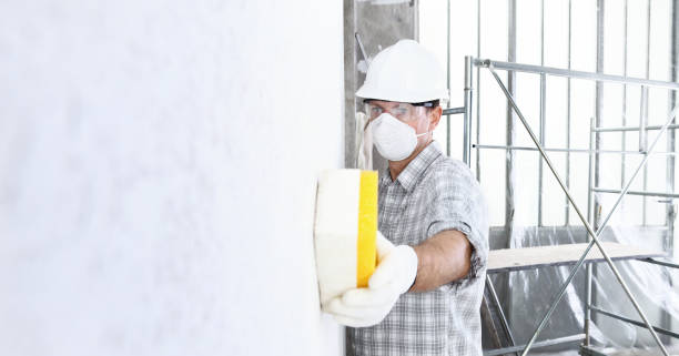  Ocean Grove, NJ Mold Removal Services Pros