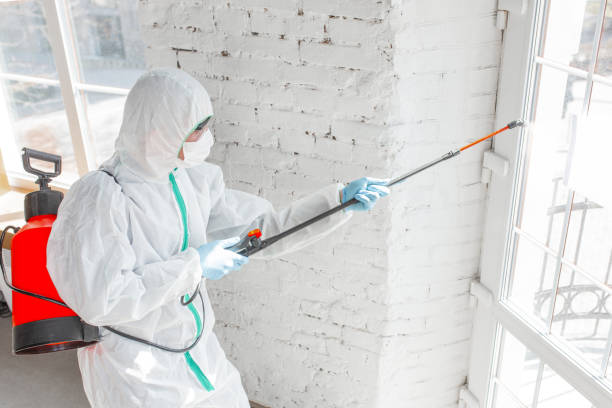 Best Mold Prevention Services  in Ocean Grove, NJ