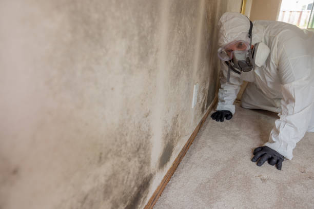 Best Biohazard Mold Removal  in Ocean Grove, NJ